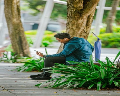 Person enjoying a quiet moment in a local park in Mexico City, looking away from devices